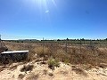 Long terrain à bâtir de 10 000 m² à Pinoso in Alicante Dream Homes API 1122