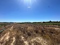Long terrain à bâtir de 10 000 m² à Pinoso in Alicante Dream Homes API 1122