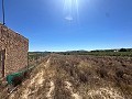 Long terrain à bâtir de 10 000 m² à Pinoso in Alicante Dream Homes API 1122
