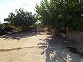 Grande maison de campagne, à distance de marche de la ville in Alicante Dream Homes API 1122