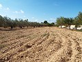 Grande maison de campagne, à distance de marche de la ville in Alicante Dream Homes API 1122