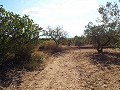 Grande maison de campagne, à distance de marche de la ville in Alicante Dream Homes API 1122