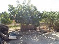 Grande maison de campagne, à distance de marche de la ville in Alicante Dream Homes API 1122