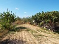 Grande maison de campagne, à distance de marche de la ville in Alicante Dream Homes API 1122