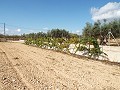 Grande maison de campagne, à distance de marche de la ville in Alicante Dream Homes API 1122