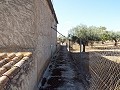 Grande maison de campagne, à distance de marche de la ville in Alicante Dream Homes API 1122
