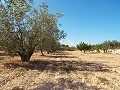 Grande maison de campagne, à distance de marche de la ville in Alicante Dream Homes API 1122