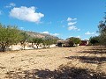 Grande maison de campagne, à distance de marche de la ville in Alicante Dream Homes API 1122
