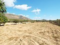Grande maison de campagne, à distance de marche de la ville in Alicante Dream Homes API 1122
