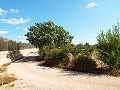 Grande maison de campagne, à distance de marche de la ville in Alicante Dream Homes API 1122