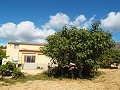 Grande maison de campagne, à distance de marche de la ville in Alicante Dream Homes API 1122