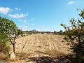 Grande maison de campagne, à distance de marche de la ville in Alicante Dream Homes API 1122