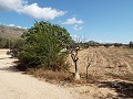 Grande maison de campagne, à distance de marche de la ville in Alicante Dream Homes API 1122