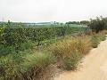 Grundstück in der Nähe von Alenda Golf in Alicante Dream Homes API 1122