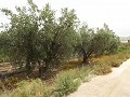 Grundstück in der Nähe von Alenda Golf in Alicante Dream Homes API 1122
