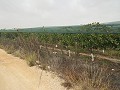 Grundstück in der Nähe von Alenda Golf in Alicante Dream Homes API 1122