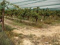 Bouwgrond nabij Alenda Golf in Alicante Dream Homes API 1122