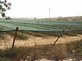Double Building plot near Alenda golf  in Alicante Dream Homes API 1122