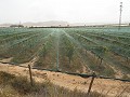 Double Building plot near Alenda golf  in Alicante Dream Homes API 1122