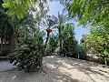 Country House with a pool and outbuildings in Alicante Dream Homes API 1122