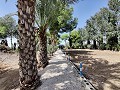 Country House with a pool and outbuildings in Alicante Dream Homes API 1122