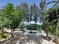 Country House with a pool and outbuildings in Alicante Dream Homes API 1122