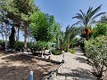 Country House with a pool and outbuildings in Alicante Dream Homes API 1122