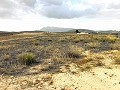 Land, for Sale in Torre del Rico in Alicante Dream Homes API 1122