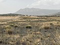 Land, for Sale in Torre del Rico in Alicante Dream Homes API 1122