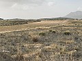 Land, for Sale in Torre del Rico in Alicante Dream Homes API 1122