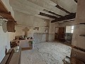 Grande maison historique et bodega à Pinoso in Alicante Dream Homes API 1122