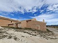 Grande maison historique et bodega à Pinoso in Alicante Dream Homes API 1122