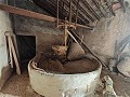 Grande maison historique et bodega à Pinoso in Alicante Dream Homes API 1122