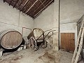 Grande maison historique et bodega à Pinoso in Alicante Dream Homes API 1122
