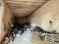 Grande maison historique et bodega à Pinoso in Alicante Dream Homes API 1122