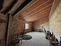 Grande maison historique et bodega à Pinoso in Alicante Dream Homes API 1122