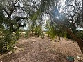 Groot landhuis met 6 slaapkamers in Ubeda in Alicante Dream Homes API 1122