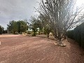 Groot landhuis met 6 slaapkamers in Ubeda in Alicante Dream Homes API 1122