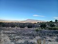 Casa de campo con impresionantes vistas. in Alicante Dream Homes API 1122
