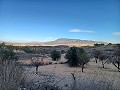 Casa de campo con impresionantes vistas. in Alicante Dream Homes API 1122