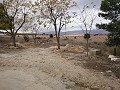 3 Bed Country House with Garage in Alicante Dream Homes API 1122