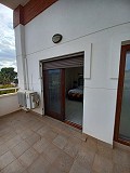 Villa in Monovar met enorme onderbouw in Alicante Dream Homes API 1122