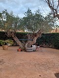 Villa in Monovar met enorme onderbouw in Alicante Dream Homes API 1122