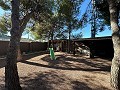 Freistehende Villa, nur wenige Gehminuten von Monovar entfernt in Alicante Dream Homes API 1122