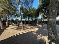 Freistehende Villa, nur wenige Gehminuten von Monovar entfernt in Alicante Dream Homes API 1122
