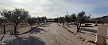 Key Ready 4 Bedroom Villa with Casita for sale in Pinoso in Alicante Dream Homes API 1122