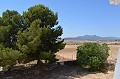Impressive Town house in small village with Large Bodega and Pool in Alicante Dream Homes API 1122