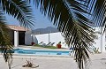 Impressive Town house in small village with Large Bodega and Pool in Alicante Dream Homes API 1122