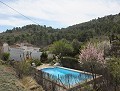 4 Bed 2 Bath Villa with Pool in Alicante Dream Homes API 1122