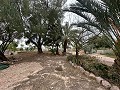 2 landhuizen in Novada in Alicante Dream Homes API 1122